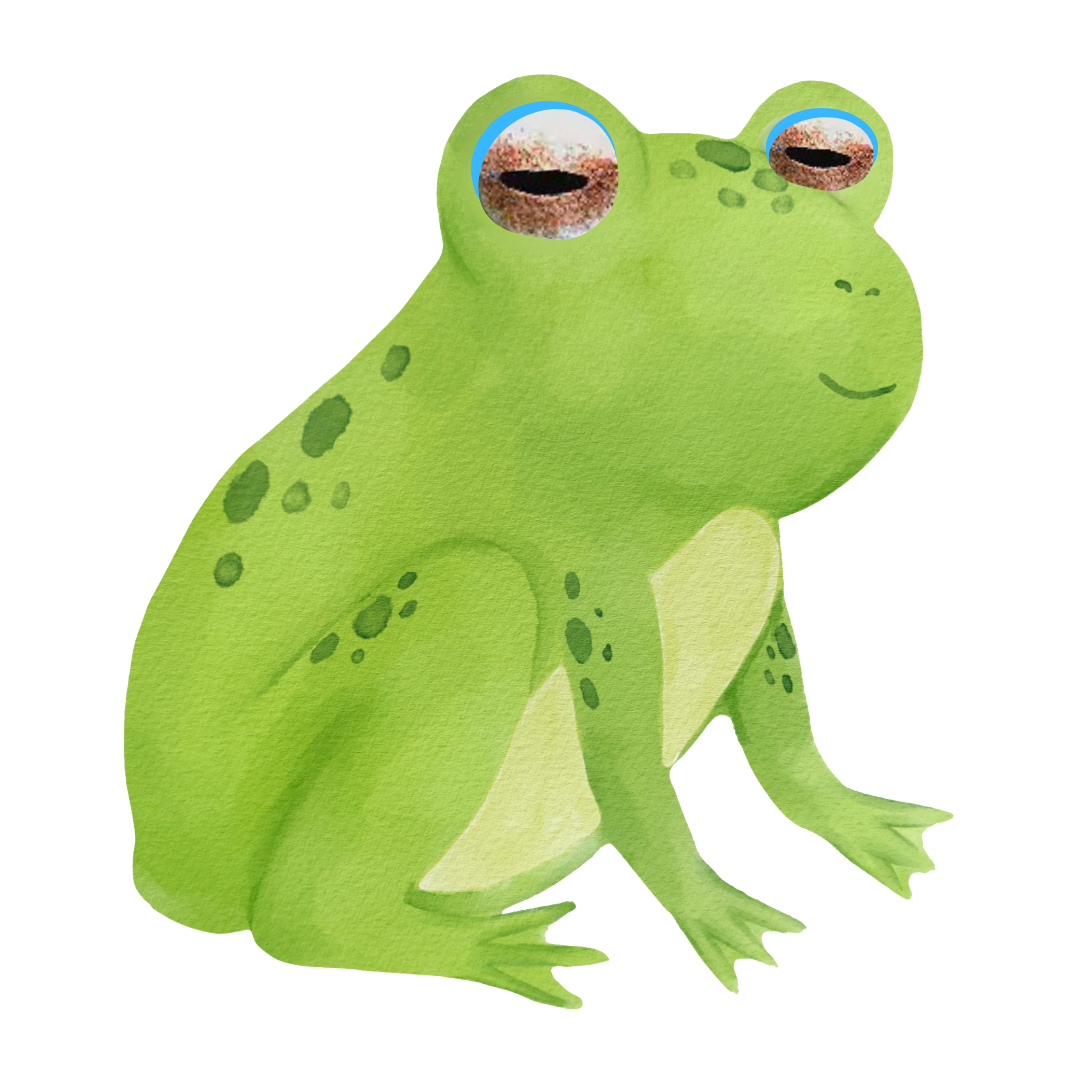 Boophis Frog Hero