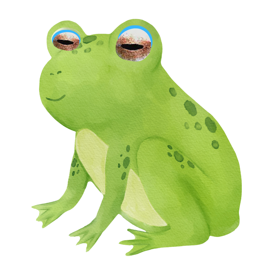 Boophis Laughing